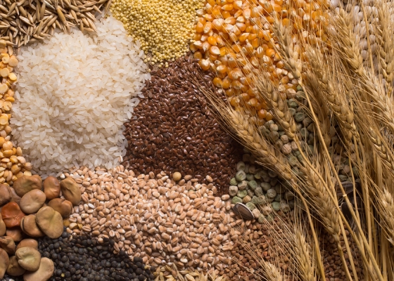 アゼライン酸のイメージ